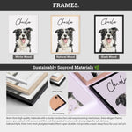 Frames