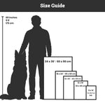 Size guide comparing a person, dog, and various frame sizes in inches and centimeters.