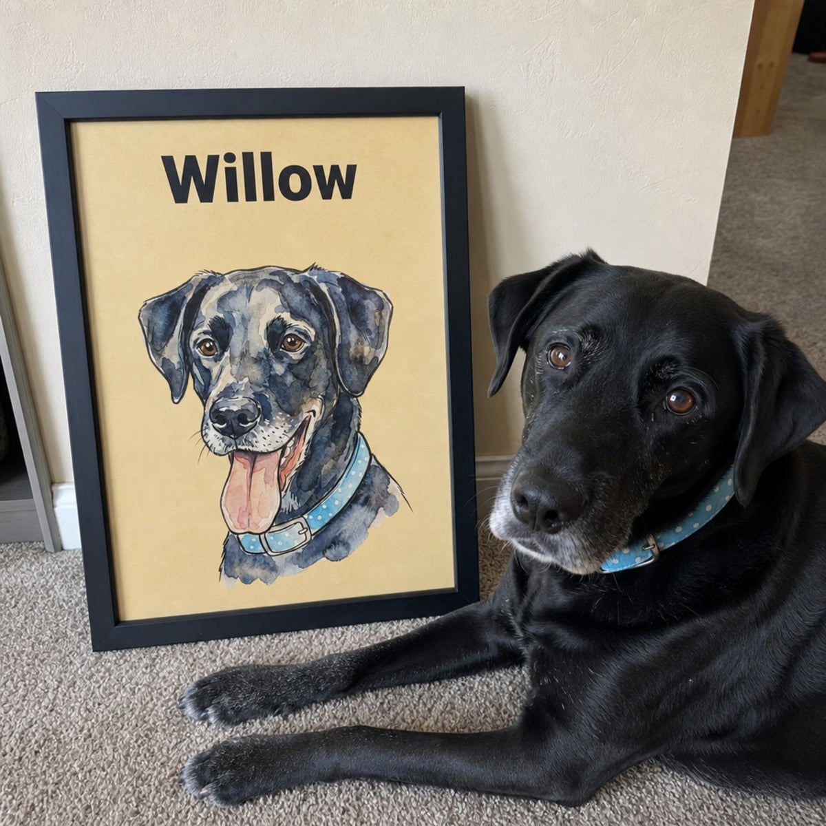 Black Labrador lying beside a framed custom watercolor pet portrait personalized with the name Willow.