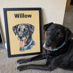 Black Labrador lying beside a framed custom watercolor pet portrait personalized with the name Willow.