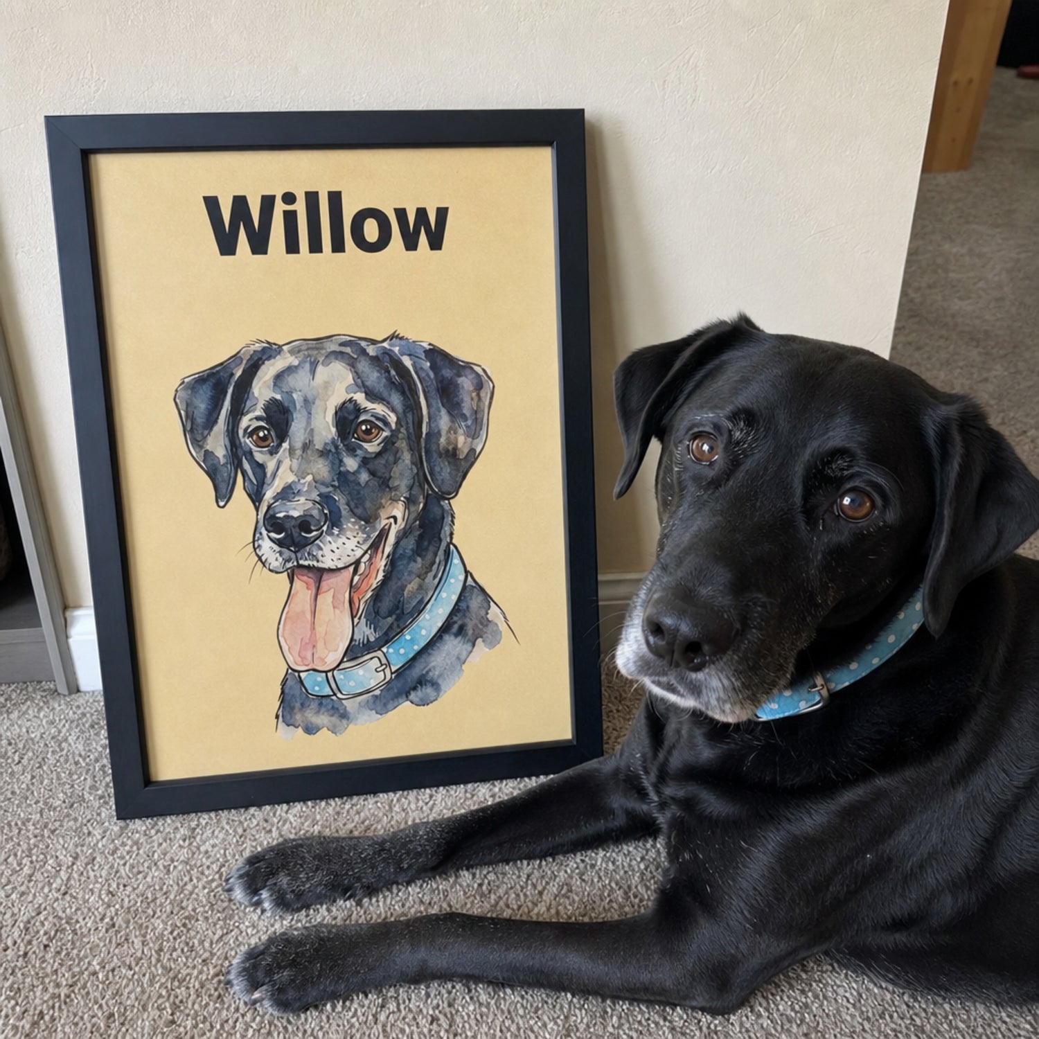 Black Labrador lying beside a framed custom watercolor pet portrait personalized with the name Willow.