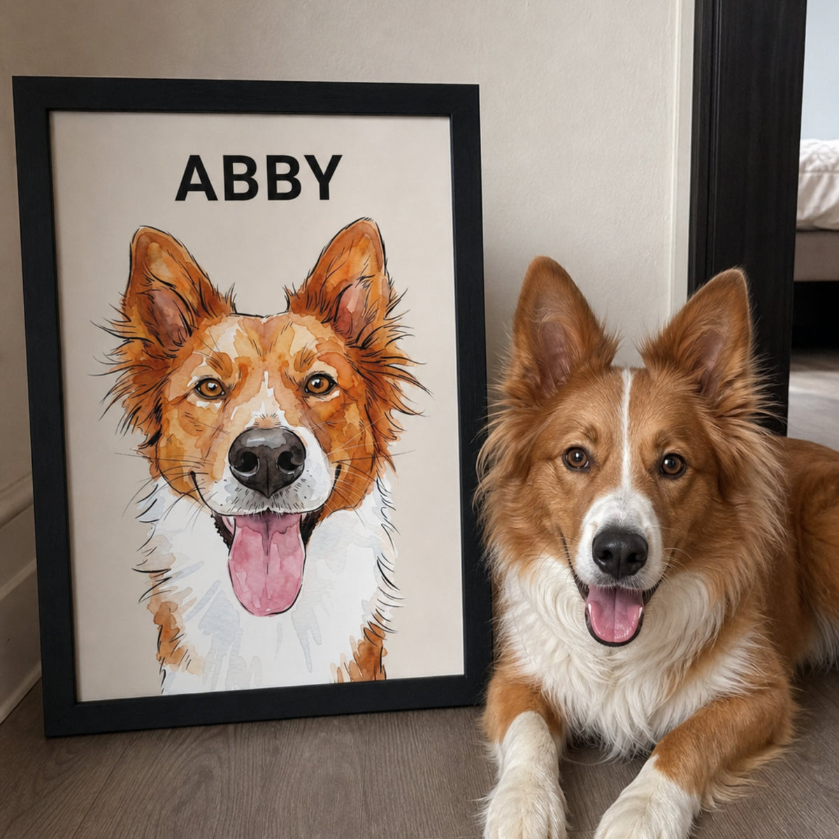 Red and white Border Collie lying beside a framed custom watercolor pet portrait personalized with the name Abby.