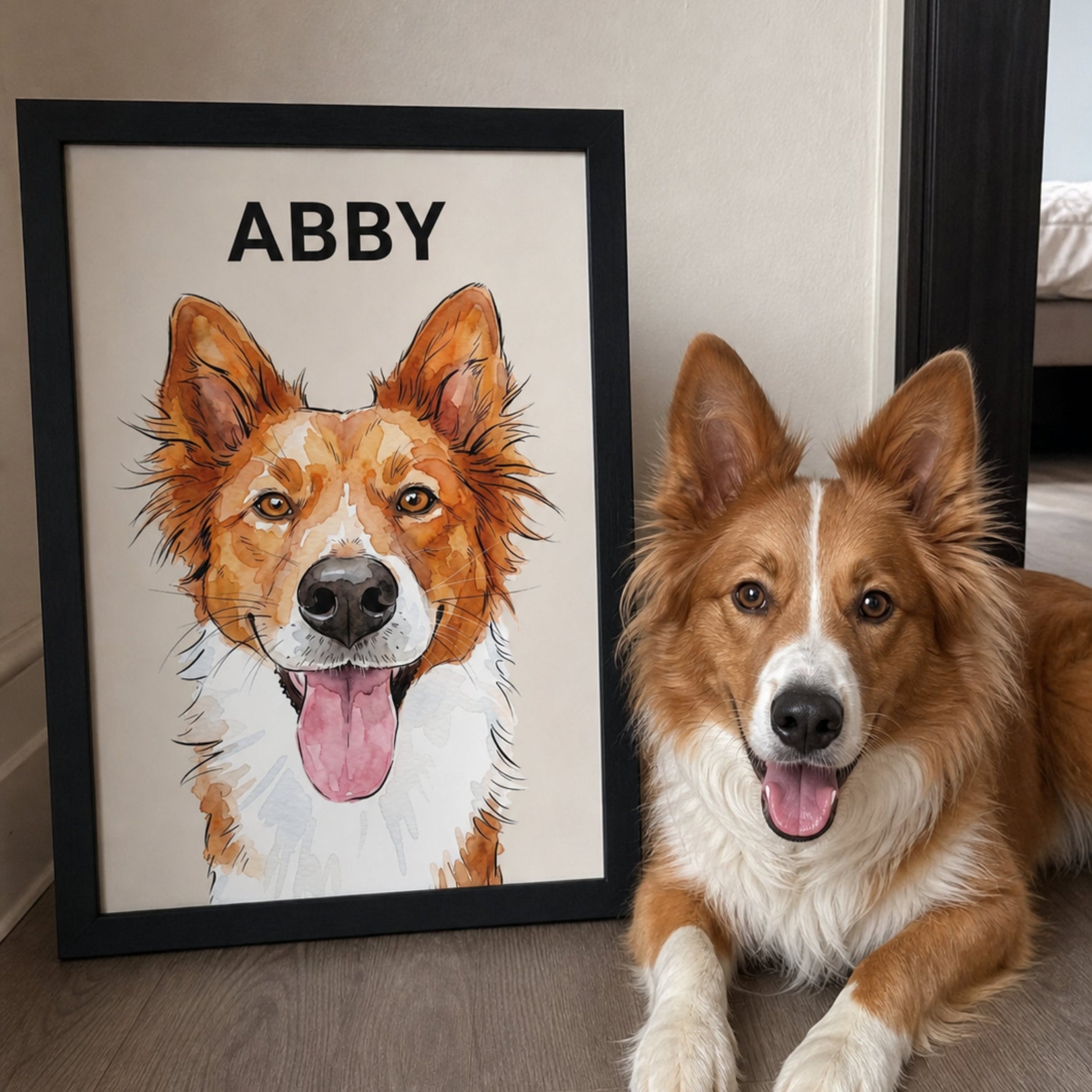 Red and white Border Collie lying beside a framed custom watercolor pet portrait personalized with the name Abby.