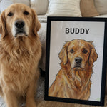 Golden Retriever sitting beside a framed custom watercolor pet portrait personalized with the name Buddy.