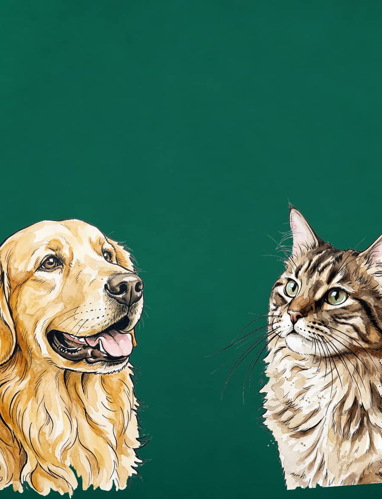 Watercolor dog and cat illustrations on a green custom pet portrait banner
