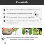 Photo guide for custom pet portraits showing tips for choosing a clear, well-lit, front-facing pet photo with the animal as the main focus.